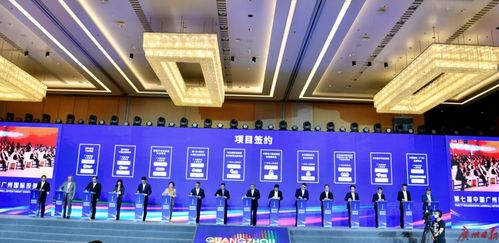 机遇之地，投资沃土 顺富医药的成长与前景